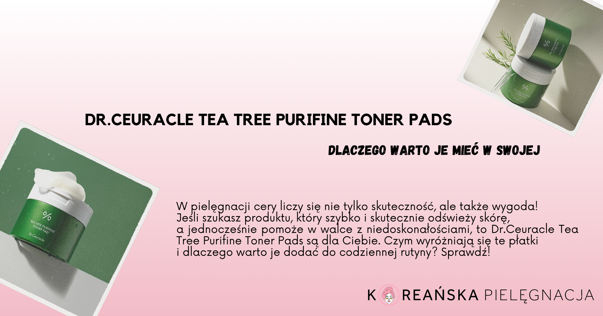 Dr.Ceuracle Tea Tree Purifine Toner Pads – dlaczego warto je mieć w swojej pielęgnacji?